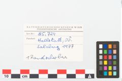 Foto von Keramikgefäß (NHMW-PRAE-085724)